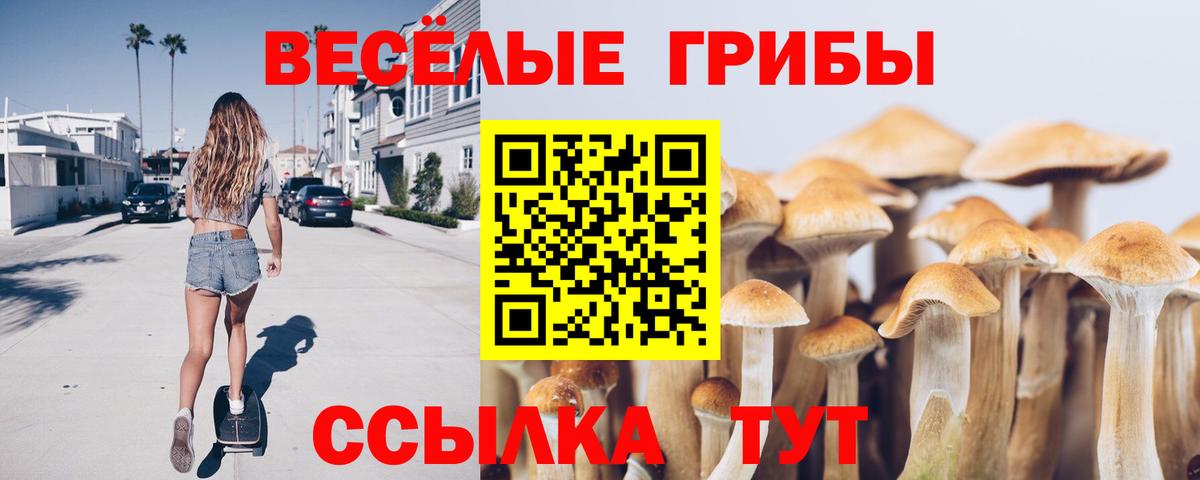Красногорск  Псилоцибиновые грибы Magic Shrooms  Псилоцибиновые грибы Psilocybe  Вход с VPN 