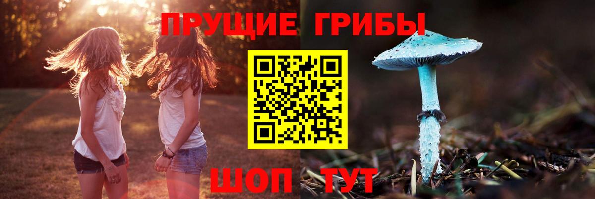 Галлюциногенные грибы прущие грибы Красногорск